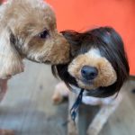 タトゥーカバーのリピートのお客様 タトゥーカバーのリピートのお客様
