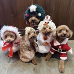 発表会で♪ 発表会で♪